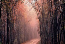 【中甲】两度落后两度追平，广州队难阻连败颓势.