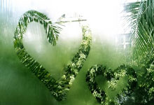 意甲：那不勒斯3-1戰勝維羅納 克瓦拉茨赫利亞雙響 波利塔諾一射兩傳.