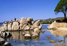 威廉希尔足球网：德甲第3輪拜仁慕尼黑4-3柏林赫塔 萊萬補時點球絕殺上演大四喜.